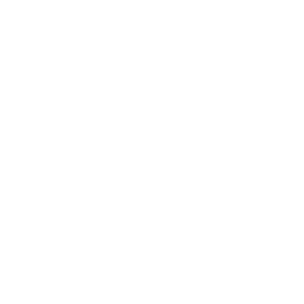 The image is blank with a white background and contains no visible objects, text, or features.