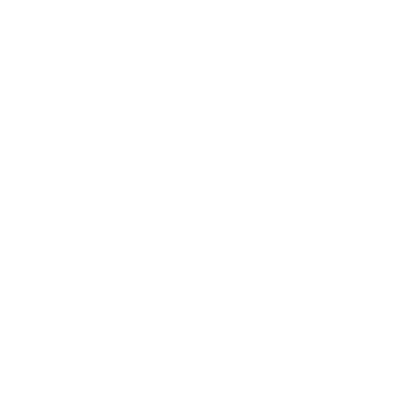 The image is completely blank with a white background and no visible objects or content.