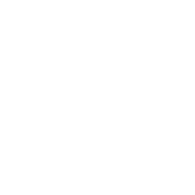 The image is completely blank with a white background and no visible objects, text, or distinguishing features.