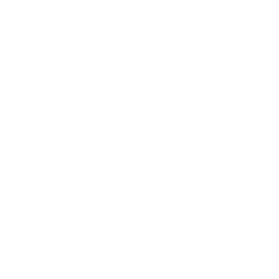 The image is a blank white background with no visible objects, text, or features.