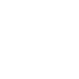 The image is blank with a plain white background and no visible objects, text, or features.