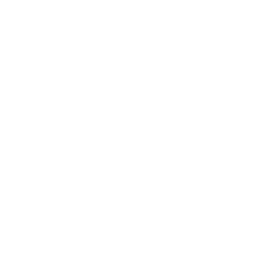 Blank white image with no visible objects, text, or features.